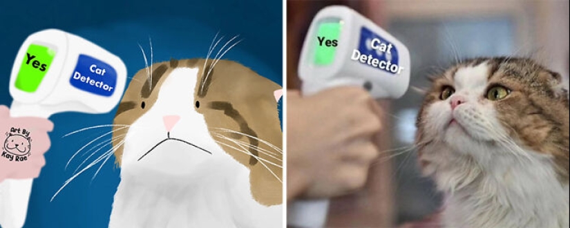 20 Adorable And Hilarious Animal Photos Drawn By This Artist