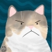 20 Adorable And Hilarious Animal Photos Drawn By This Artist 20 Adorable And Hilarious Animal Photos Drawn By This Artist