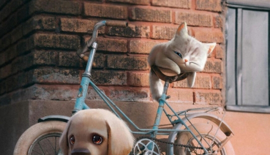 20 adorables ilustraciones de Maya Zeidan que alegrarán tu día 20 adorables ilustraciones de Maya Zeidan que alegrarán tu día