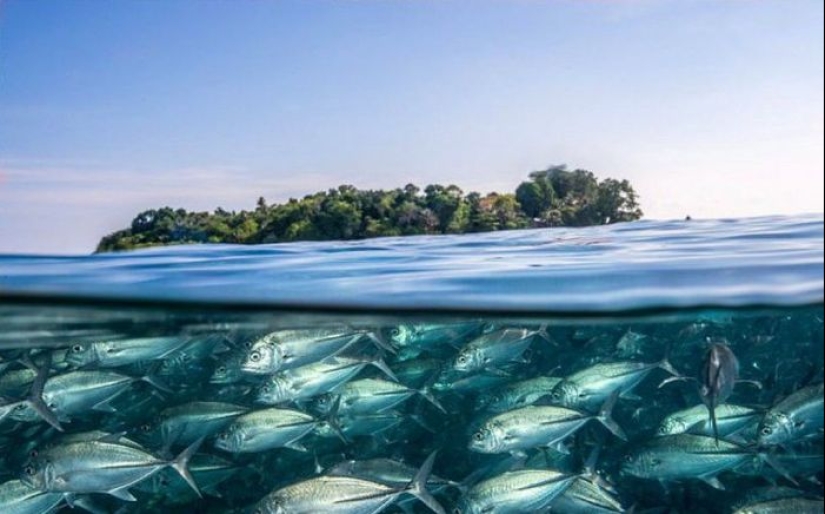 20 amazing photos capturing the contrasts of our planet 20 amazing photos capturing the contrasts of our planet