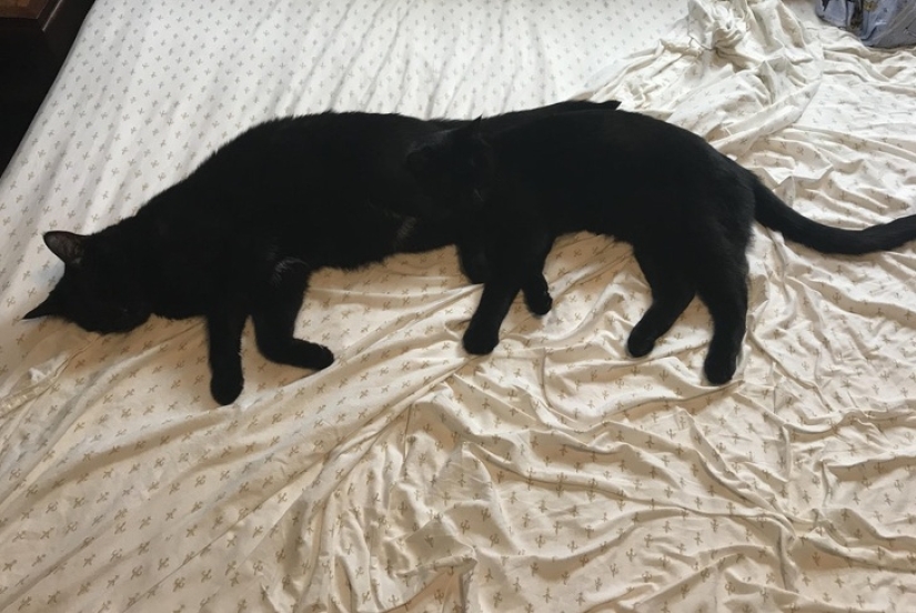 20 ambiguous photos, which are not immediately clear what is happening there 20 ambiguous photos, which are not immediately clear what is happening there