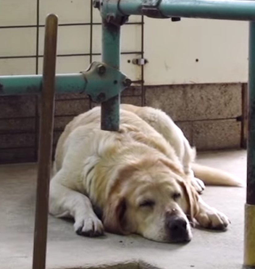 20 ambiguous photos, which are not immediately clear what is happening there 20 ambiguous photos, which are not immediately clear what is happening there