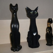 20 animals that disguise themselves as gods