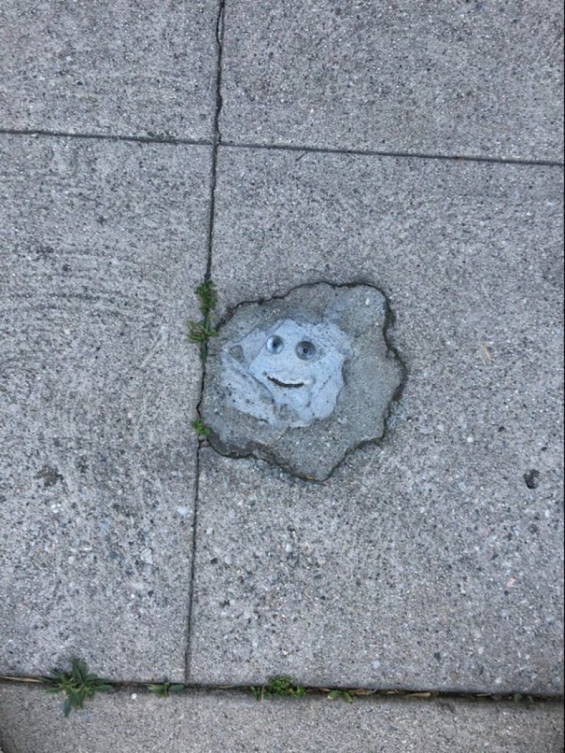 20 artículos que pretenden ser otros elementos 20 artículos que pretenden ser otros elementos
