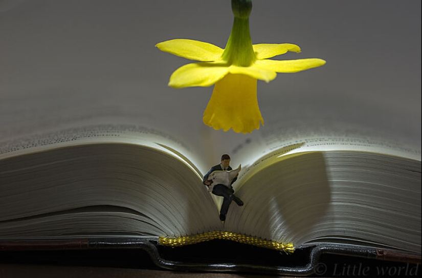 20 Beautifully Detailed Miniatures Created By These Artists