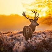 20 best pictures taken at dawn 20 best pictures taken at dawn