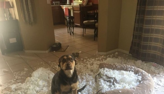 20 casos ofensivos cuando alguien es muy desafortunado 20 casos ofensivos cuando alguien es muy desafortunado