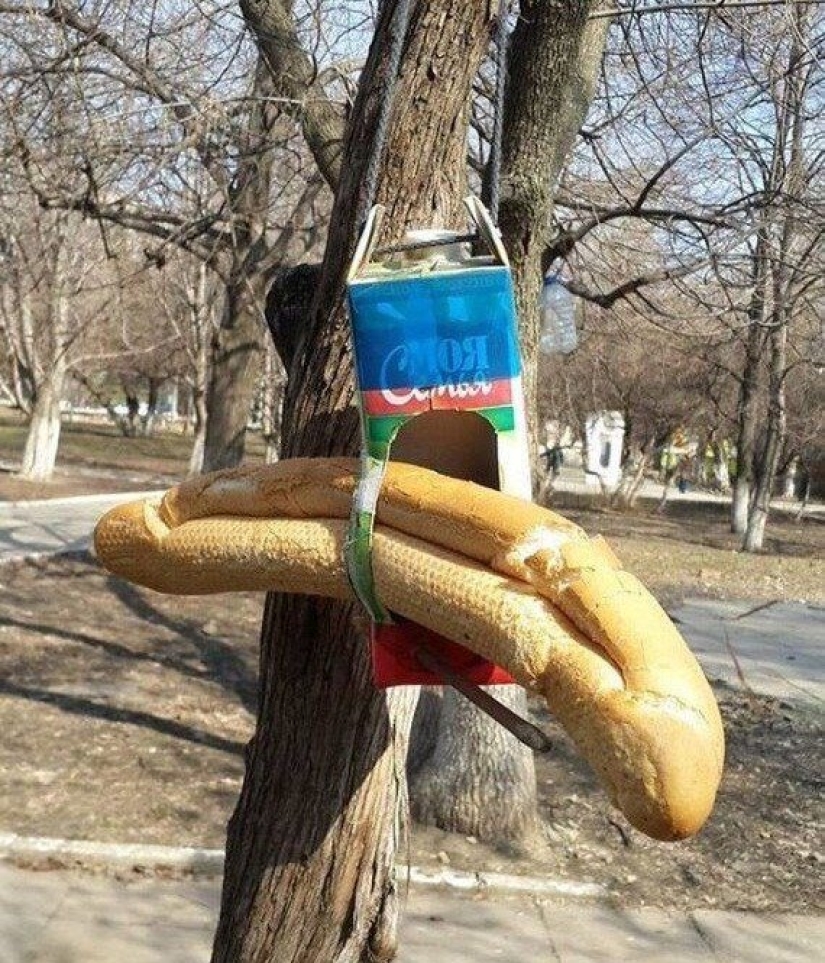 20 colorful photos taken somewhere in Russia