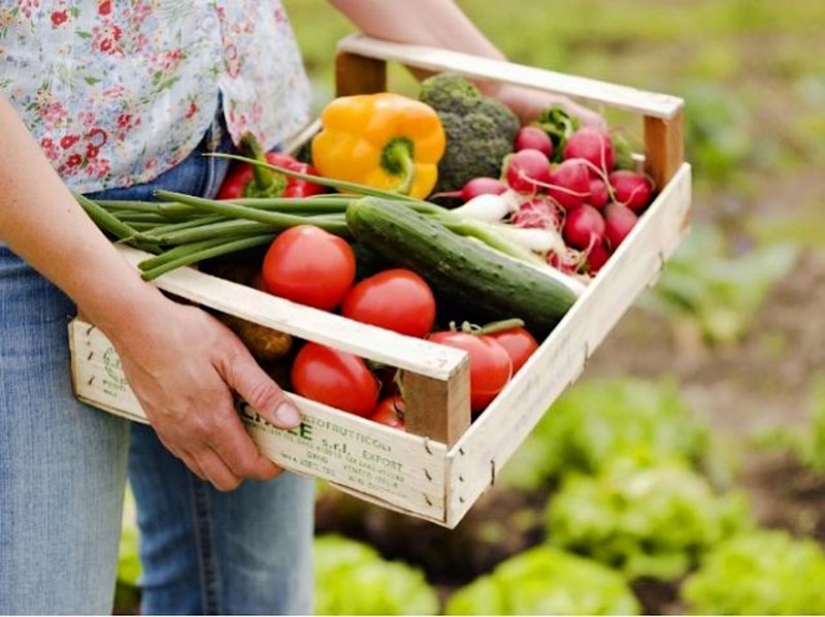 20 common myths about proper nutrition
