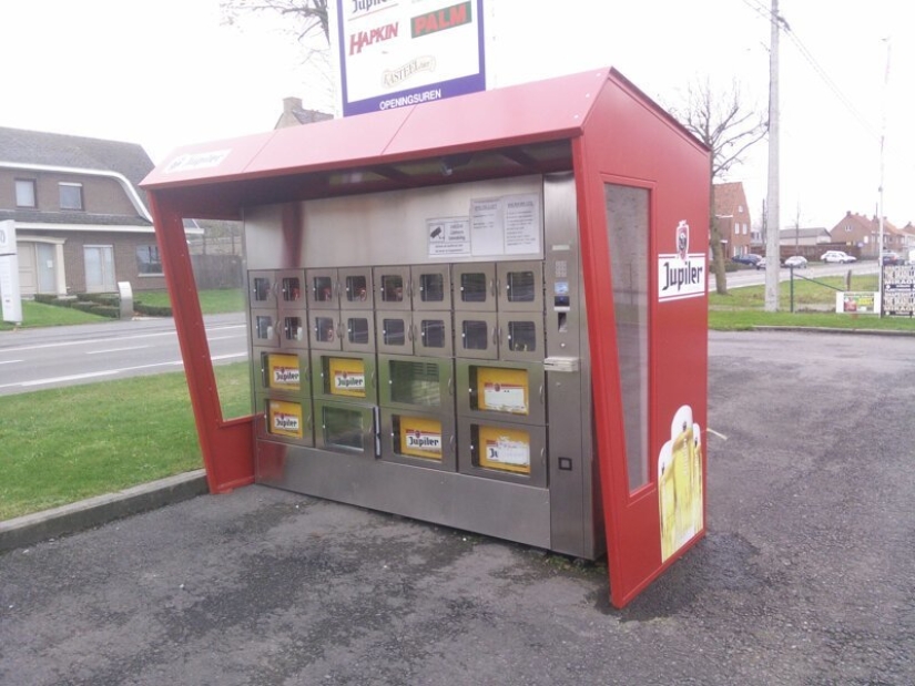 20 cosas increíbles que se encuentran en Islandia