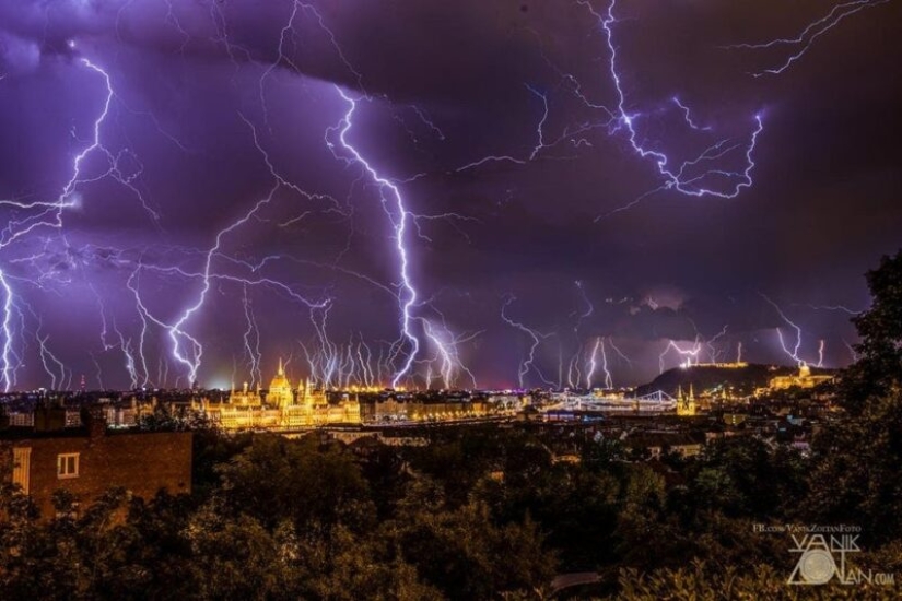20 cosas que si no son capturados en la foto, nadie habría creído