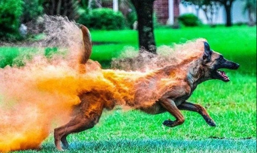 20 cosas que si no son capturados en la foto, nadie habría creído