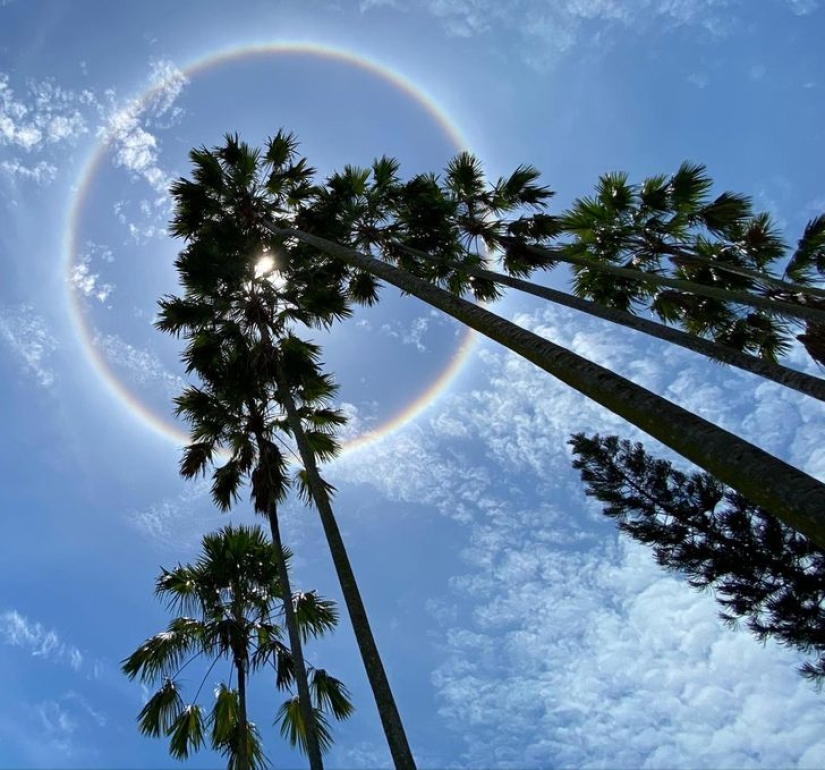 20 cosas que si no son capturados en la foto, nadie habría creído