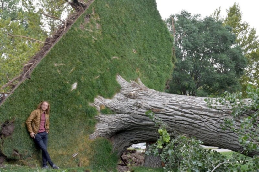 20 cosas que si no son capturados en la foto, nadie habría creído