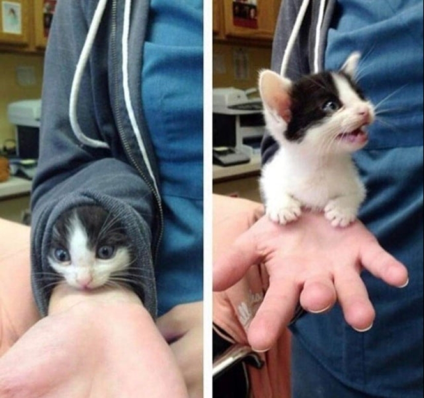 20 cutest pictures that will make your day better 20 cutest pictures that will make your day better