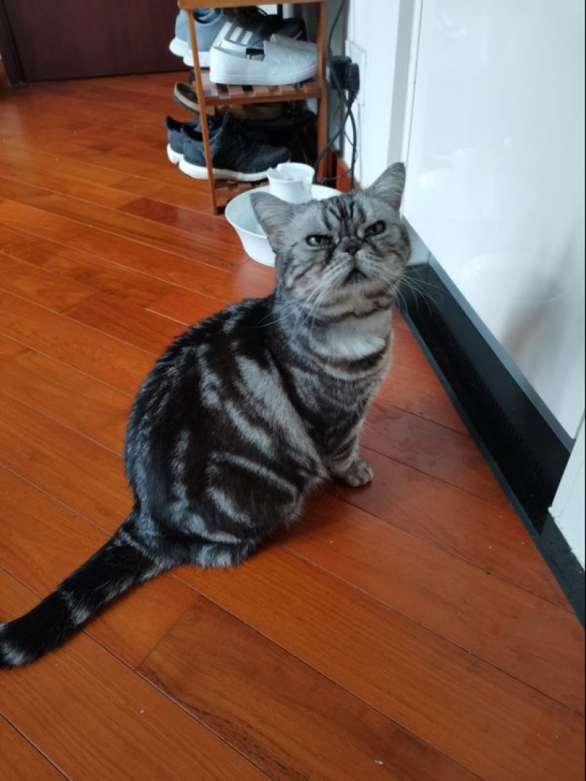 20 cutest pictures that will make your day better 20 cutest pictures that will make your day better