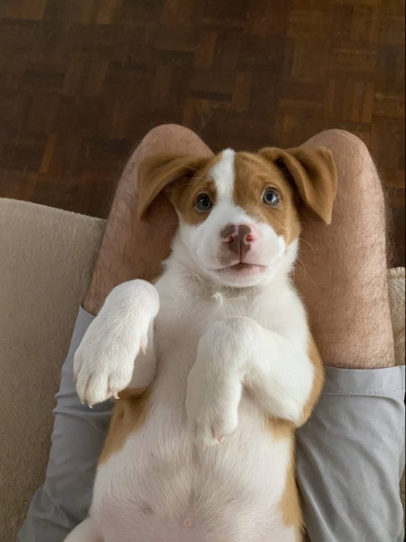 20 cutest pictures that will make your day better 20 cutest pictures that will make your day better