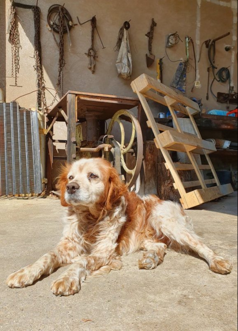 20 cutest pictures that will make your day better 20 cutest pictures that will make your day better