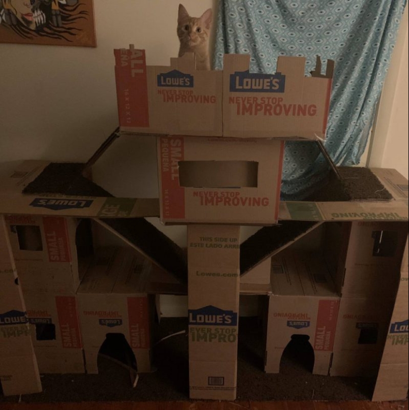 20 cutest pictures that will make your day better 20 cutest pictures that will make your day better