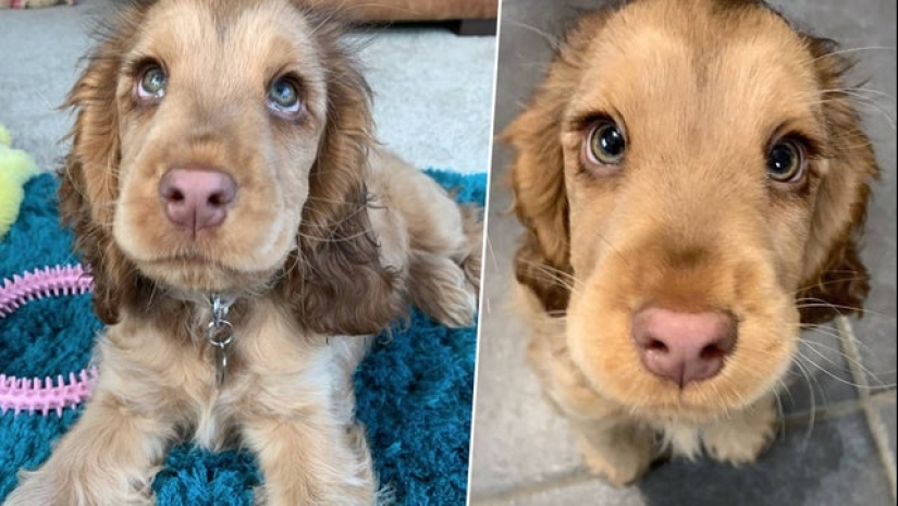 20 cutest pictures that will make your day better 20 cutest pictures that will make your day better