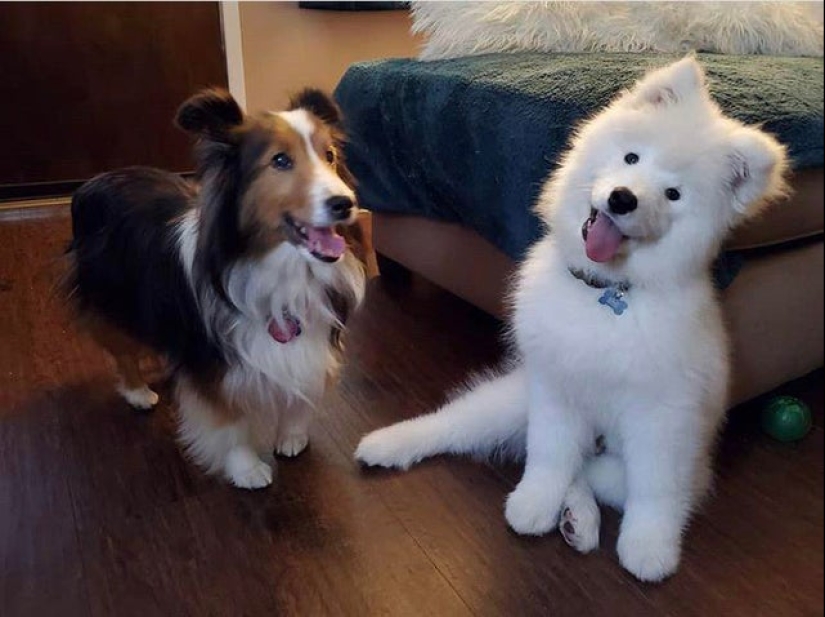 20 cutest pictures that will make your day better 20 cutest pictures that will make your day better