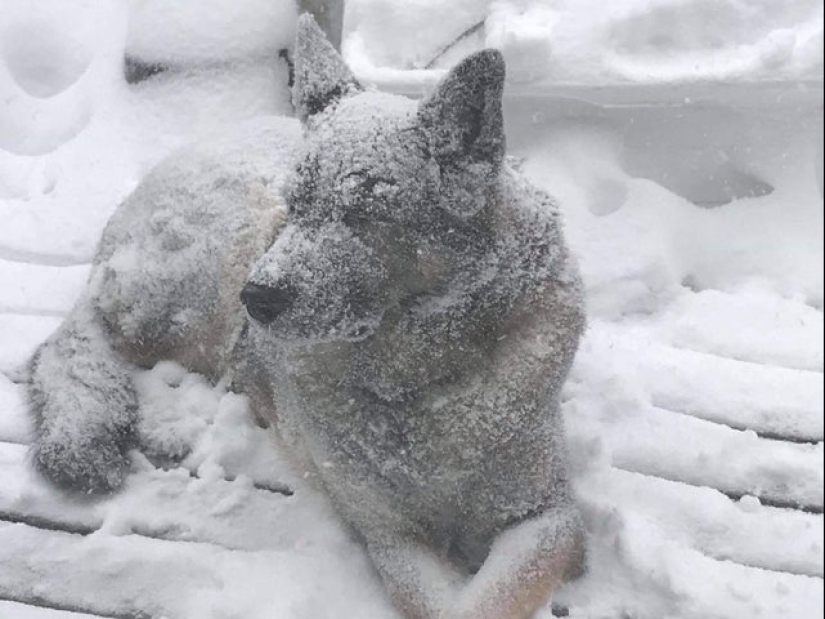 20 cutest pictures that will make your day better 20 cutest pictures that will make your day better