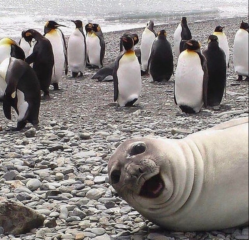 20 cutest pictures that will make your day better 20 cutest pictures that will make your day better