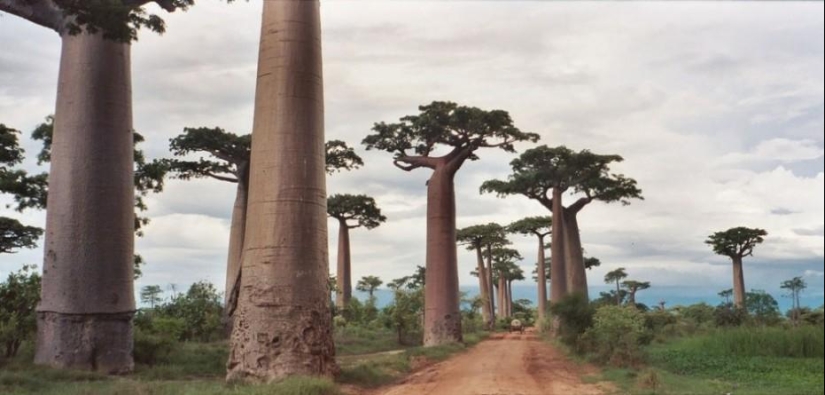 20 de los más pintorescos caminos