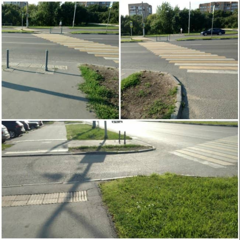 20 diseñadores que la pata del perro en la creación de sus "obras maestras" 20 diseñadores que la pata del perro en la creación de sus "obras maestras"