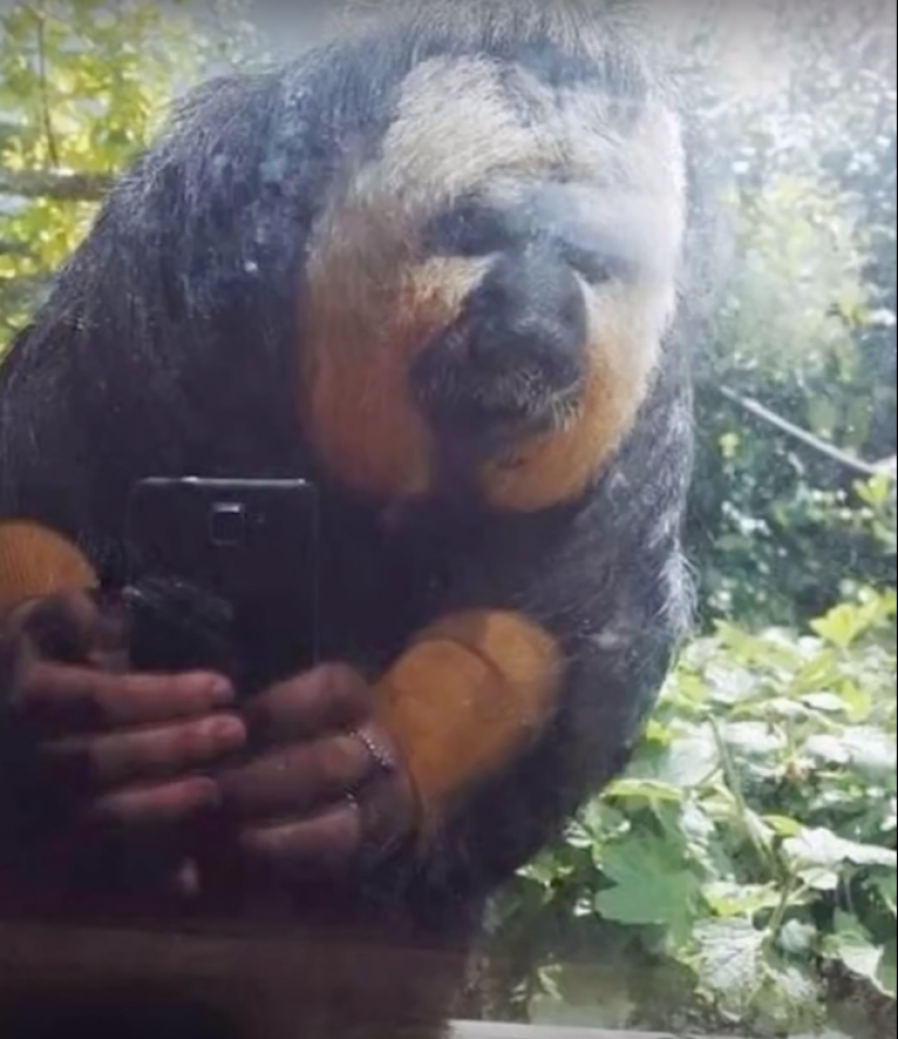 20 divertidas ilusiones ópticas que se producen en la vida cotidiana