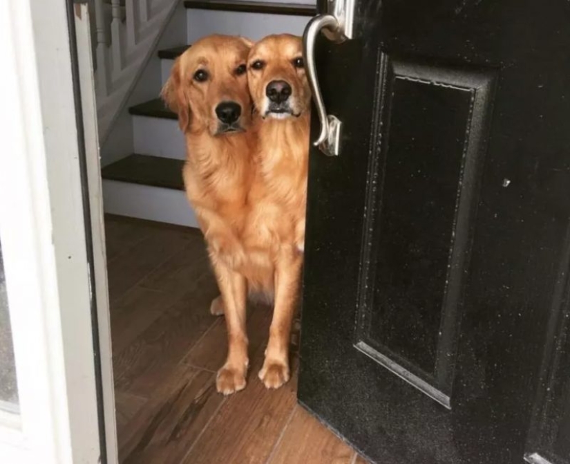 20 divertidas ilusiones ópticas que se producen en la vida cotidiana