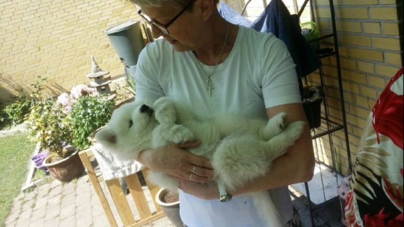 20 dramatic photos that moved any depths