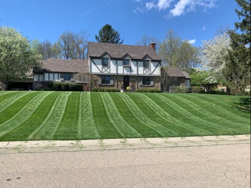 20 ejemplos ilustrativos de lo que se entiende por "una delicia visual"