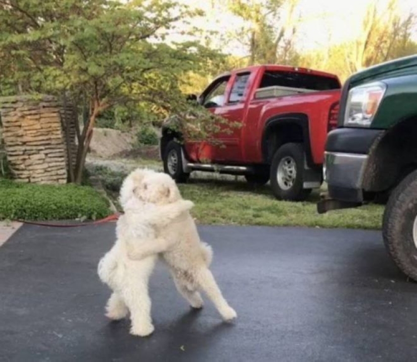 20 emotional snapshots that will melt the heart of even the "biscuit"