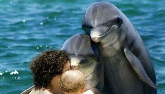 20 emotional snapshots that will melt the heart of even the "biscuit"