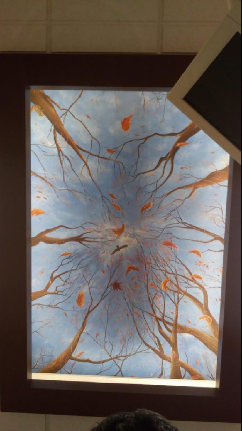 20 everyday things, the design of which bothered the real geniuses.