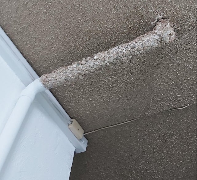 20 everyday things, the design of which bothered the real geniuses.