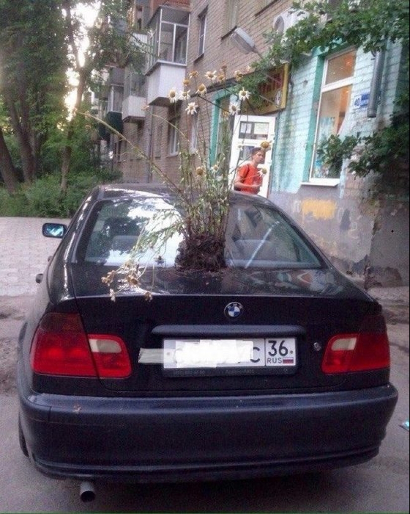 20 examples of insidious revenge for parking 20 examples of insidious revenge for parking