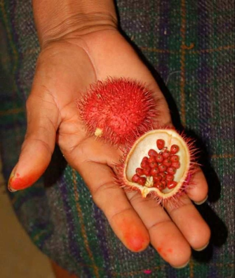 20 exotic fruits from around the world, which you never heard 20 exotic fruits from around the world, which you never heard