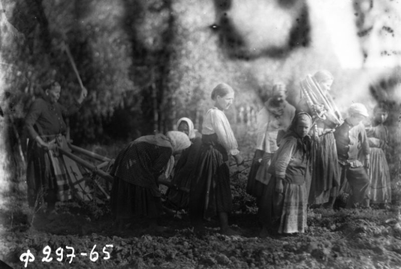20 fascinantes fotos del pasado que ampliarán sus conocimientos acerca de la historia