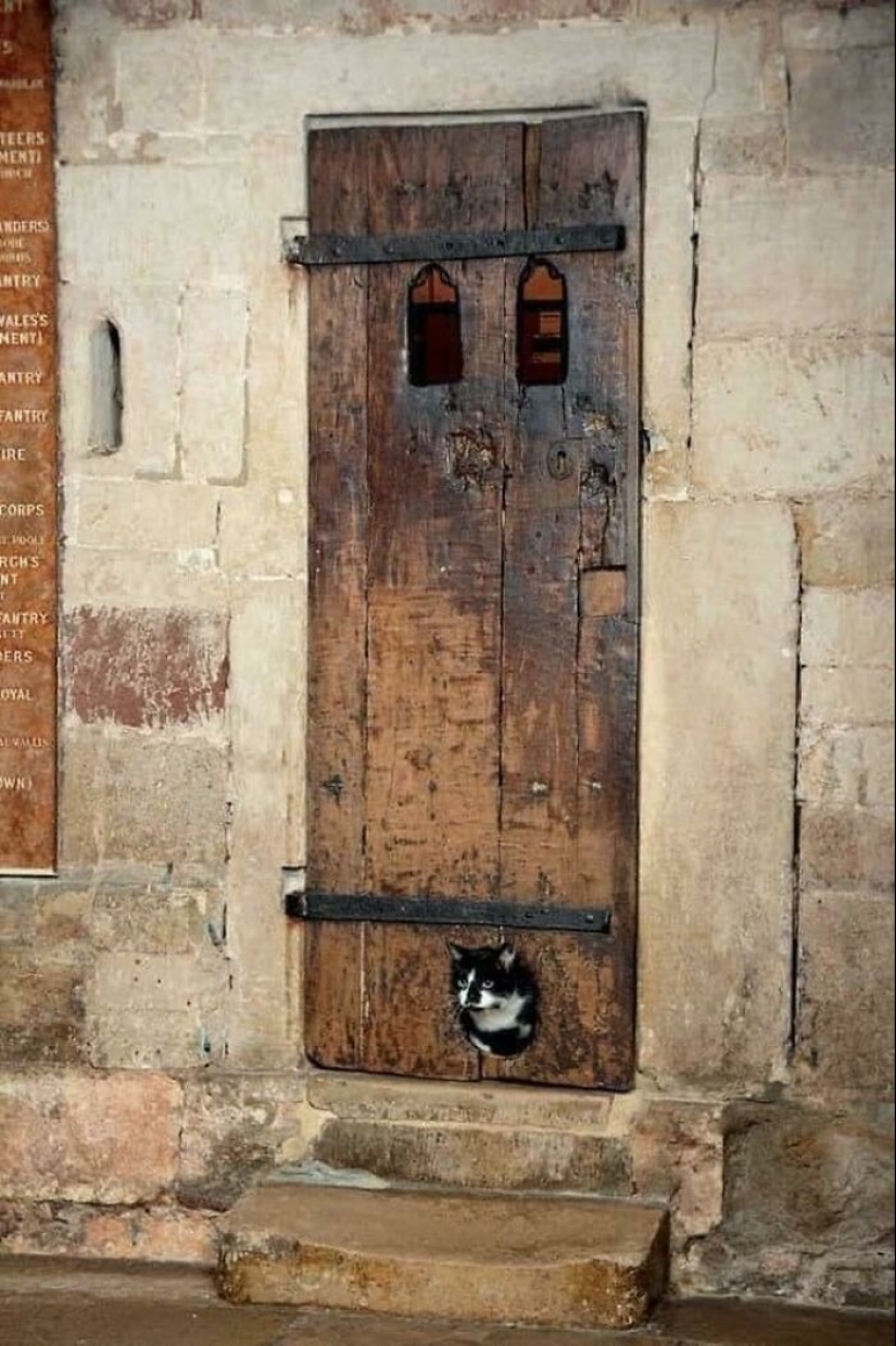 20 Fascinating Finds That Offer A Glimpse Into The Distant Past