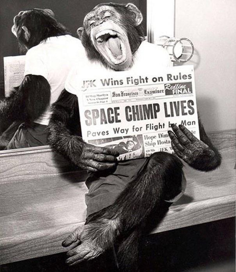 20 fascinating photos from the past that will broaden your knowledge about the history