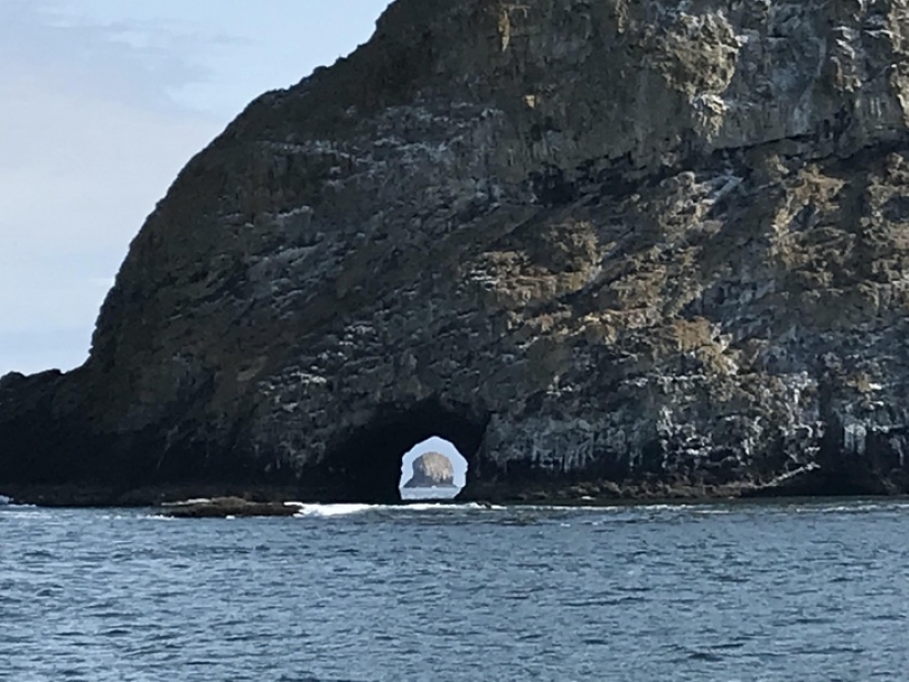 20 fotos ambiguas, que no son inmediatamente claro lo que está sucediendo allí 20 fotos ambiguas, que no son inmediatamente claro lo que está sucediendo allí