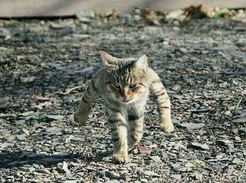 20 fotos ambiguas, que no son inmediatamente claro lo que está sucediendo allí 20 fotos ambiguas, que no son inmediatamente claro lo que está sucediendo allí