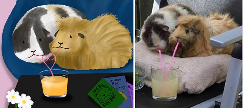 20 fotos de animales adorables e hilarantes dibujadas por esta artista 20 fotos de animales adorables e hilarantes dibujadas por esta artista
