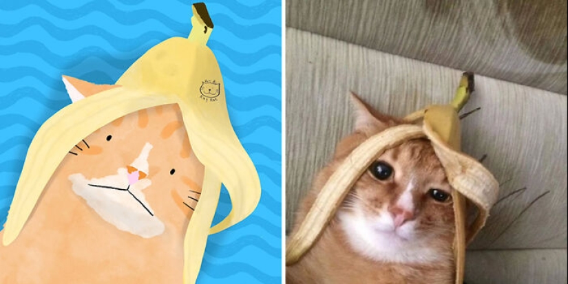 20 fotos de animales adorables e hilarantes dibujadas por esta artista 20 fotos de animales adorables e hilarantes dibujadas por esta artista