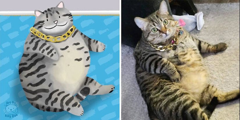 20 fotos de animales adorables e hilarantes dibujadas por esta artista 20 fotos de animales adorables e hilarantes dibujadas por esta artista