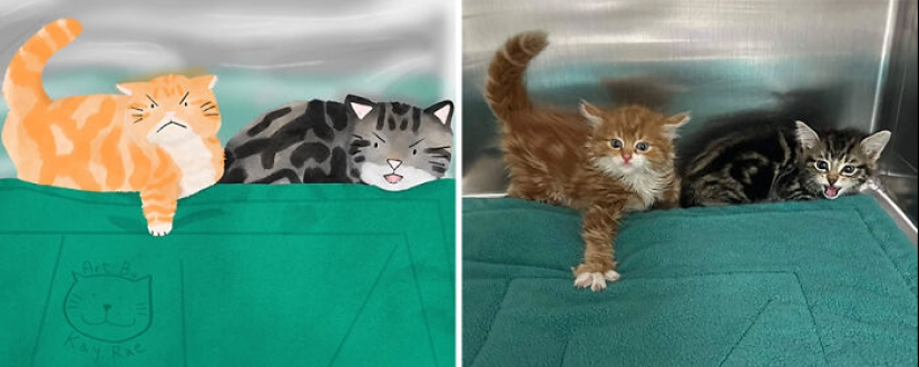 20 fotos de animales adorables e hilarantes dibujadas por esta artista 20 fotos de animales adorables e hilarantes dibujadas por esta artista