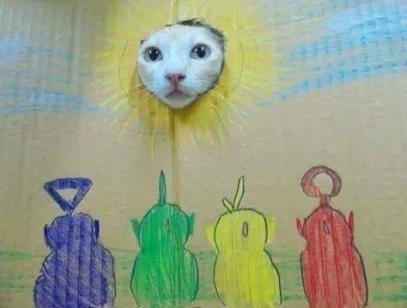 20 fotos de gatos haciendo de tontos y cosas graciosas 20 fotos de gatos haciendo de tontos y cosas graciosas