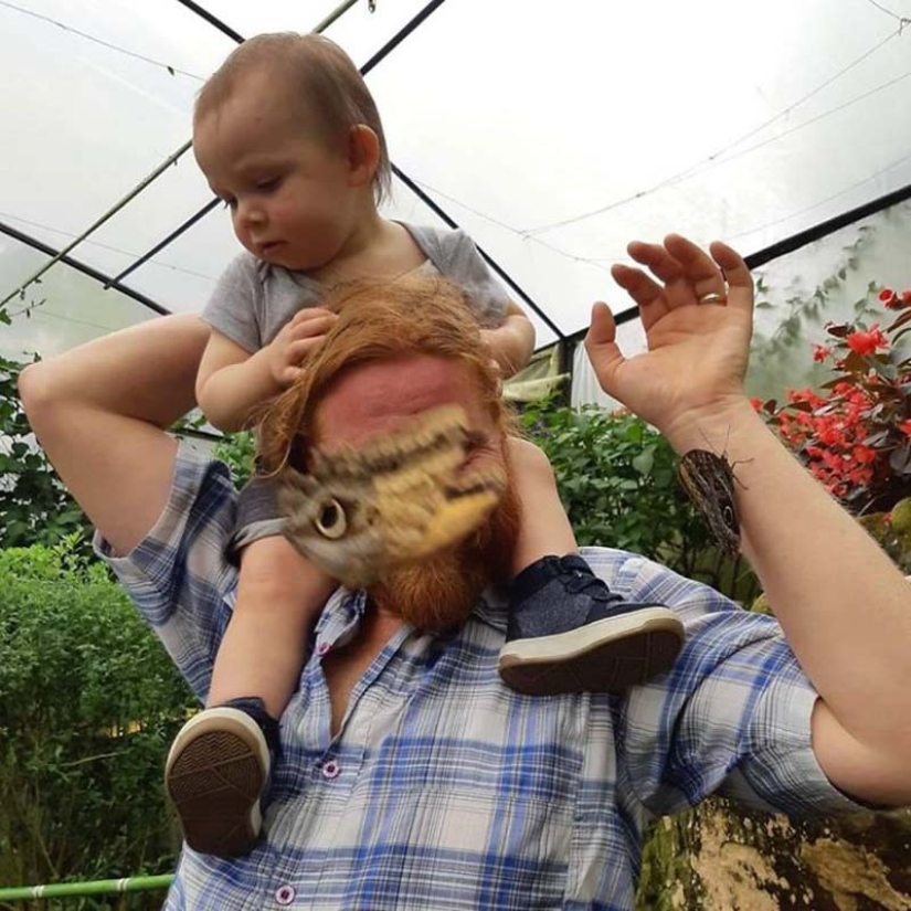 20 fotos de la vida silvestre que es tan malo que incluso los buenos